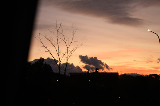 Dawn scene, 2023
